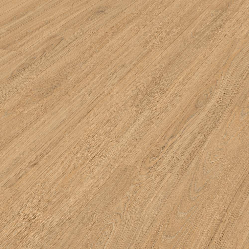PRINCESS OAK ARENA 06895 LD250