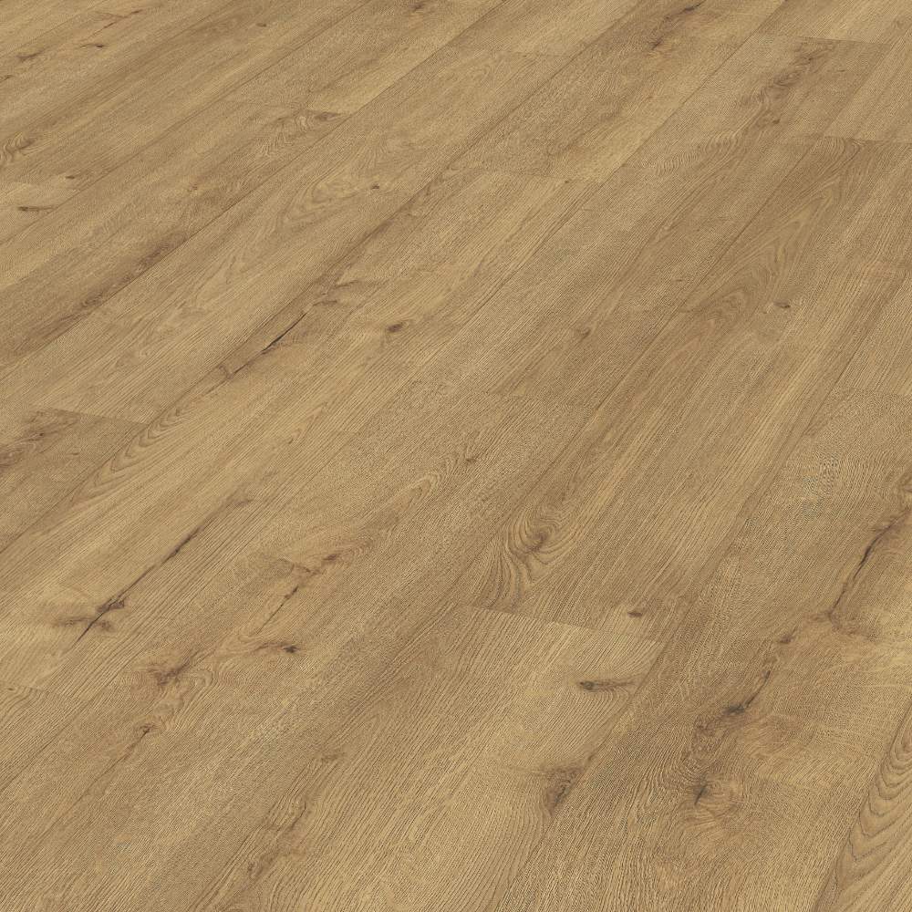 ROBLE CHAMPÁN 07001 LD250